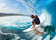 平台服务特点中jinnian金年会的表现功能介绍