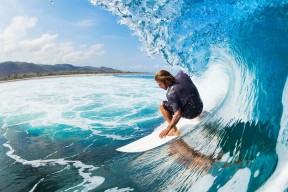 平台服务特点中jinnian金年会的表现功能介绍