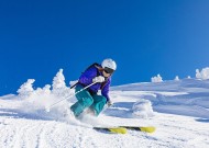 新手入门指南：金年会金字招牌诚信至上