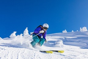 新手入门指南：金年会金字招牌诚信至上